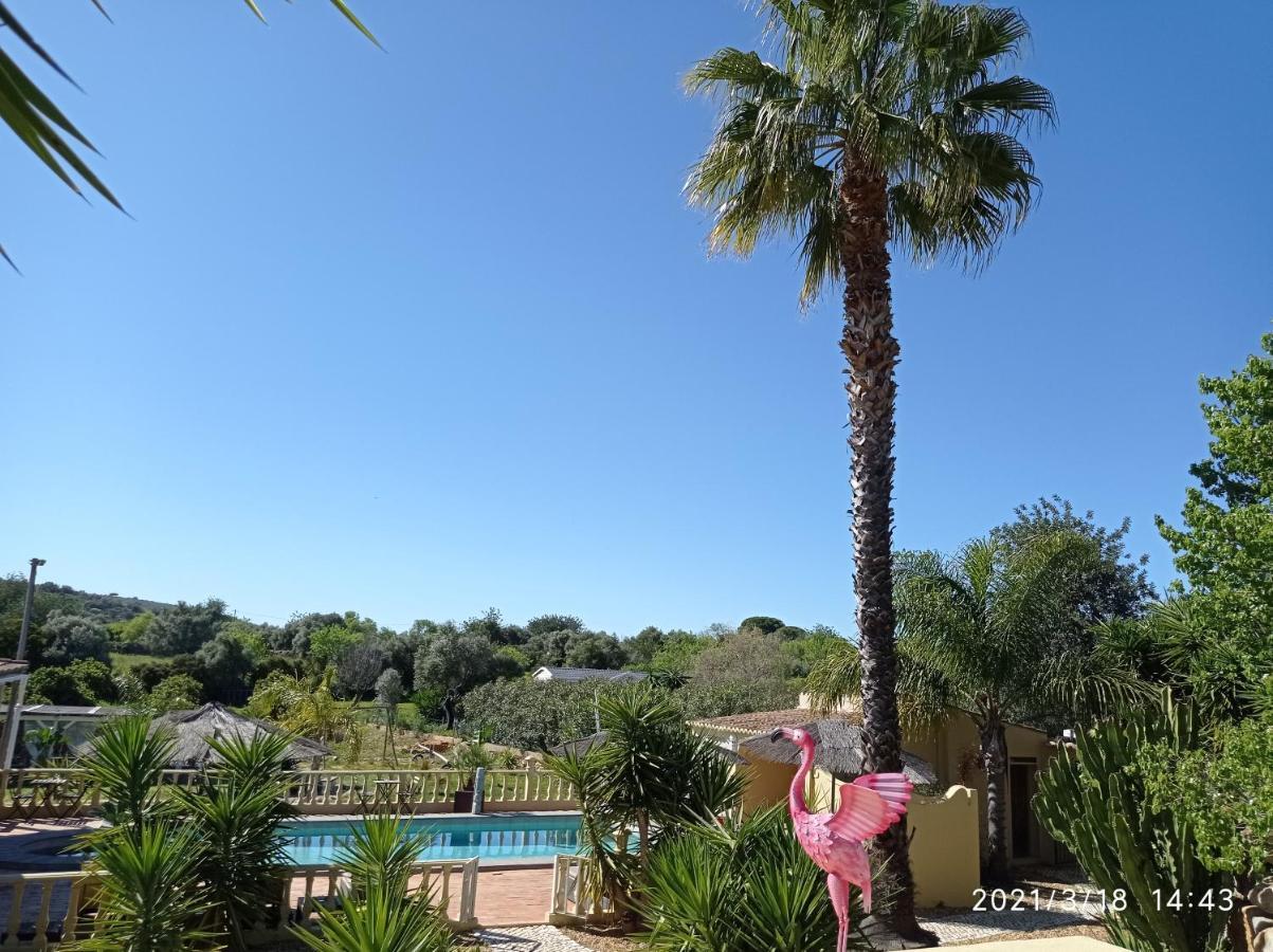 Couette-café Quinta Pereiro Tropic Garden, Algarve Moncarapacho