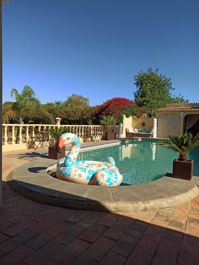 Quinta Pereiro Tropic Garden, Algarve Bed and breakfast *
