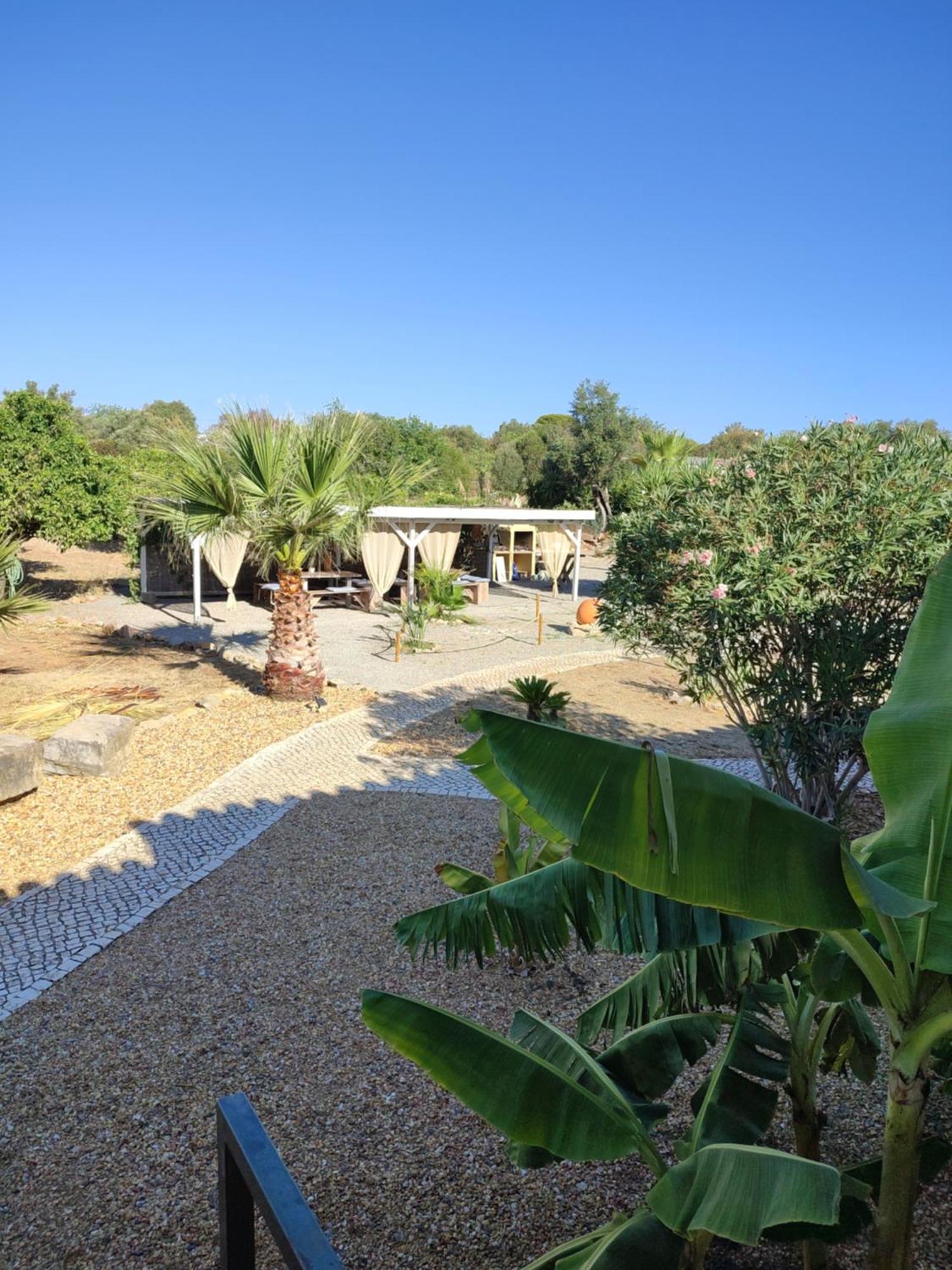 Quinta Pereiro Tropic Garden, Algarve Couette-café